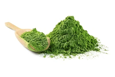 Matcha Premium Bio